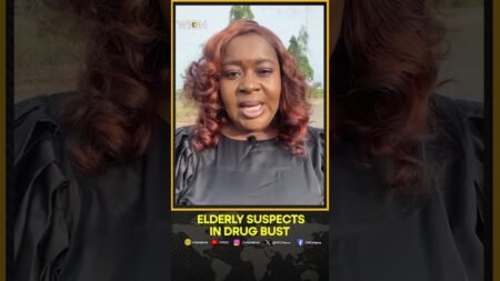 93-Year-Old, Doctor Among Suspects in Major Nigeria Drug Crackdown | WION Shorts