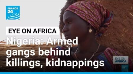 Armed gangs behind killings, kidnappings in Nigeria • FRANCE 24 English