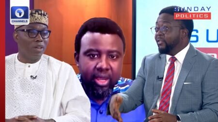 SDP’s Adebayo, Tech Expert Weighs Into X Account Linked To INEC Chair | Sunday Politics