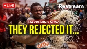 LIVE NOW: Protests Spread, Nigerians Reject Palliatives — Situation Escalating— Nigeria News Today