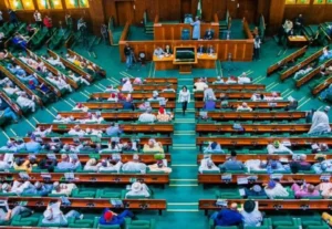 Nigerian Reps Demand Stricter Gas Station Safety Enforcement