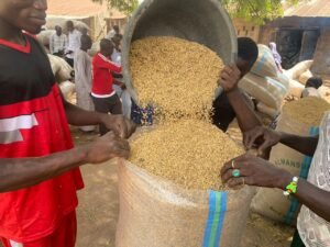 Coalition warns against fortifying ultra-processed foods, cites risks to public health