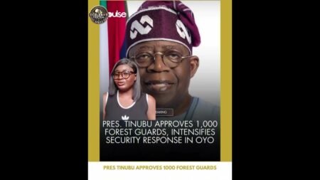 President Tinubu has approved the recruitment of 1,000 forest guards #nigeria #news #hottopic #crime President Tinubu has approved the recruitment of 1,000 forest guards #nigeria #news #hottopic #crime