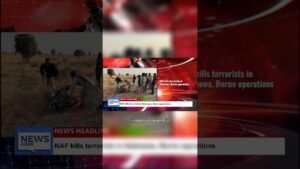 Nigeria News Today LIVE | Top Stories, Politics, Security & Entertainment Nigeria News Today LIVE | Top Stories, Politics, Security & Entertainment