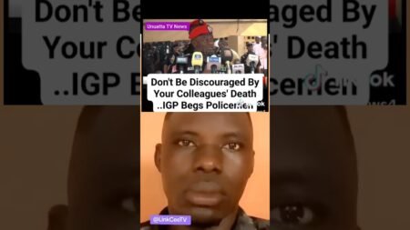 #creatorsearchinsights #Nigeria #news #fyyyyyyyyyyy