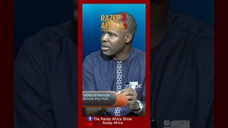 Opposition politics in Nigeria faces a highly turbulent environment.#nigerianews #apc #trending#inec Opposition politics in Nigeria faces a highly turbulent environment.#nigerianews #apc #trending#inec