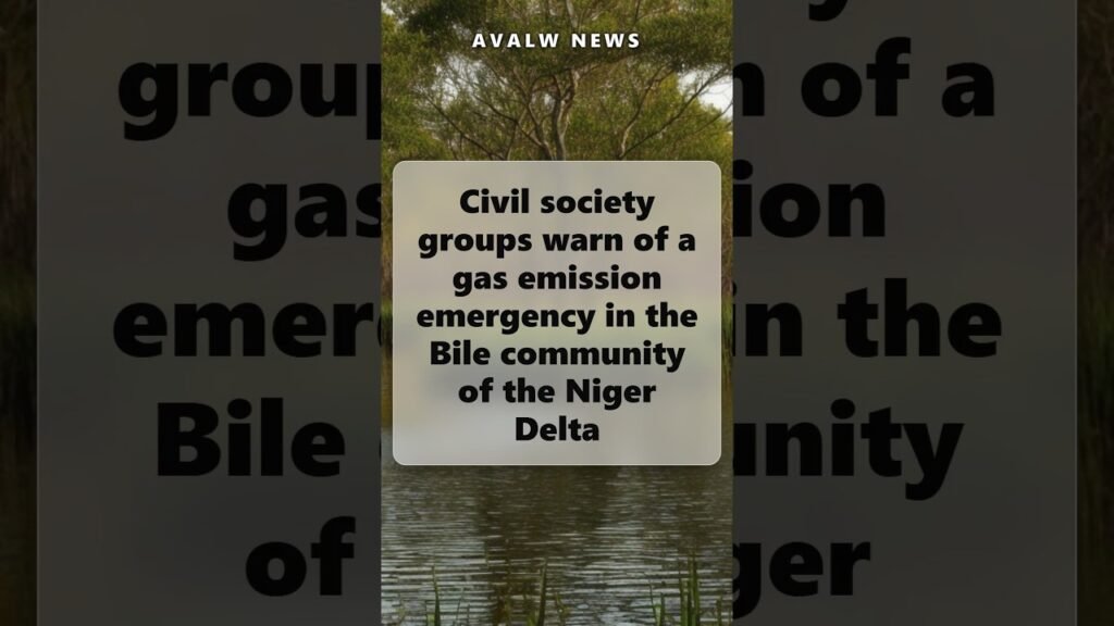 Civil society groups warn of a gas emission emergency in the Bile community of the Niger Delta Civil society groups warn of a gas emission emergency in the Bile community of the Niger Delta