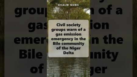 Civil society groups warn of a gas emission emergency in the Bile community of the Niger Delta Civil society groups warn of a gas emission emergency in the Bile community of the Niger Delta