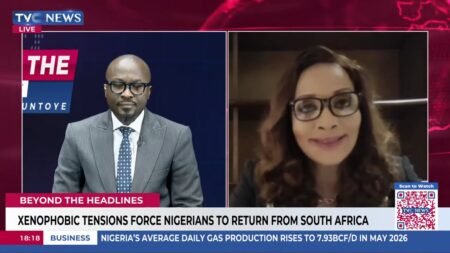Will Nigeria Revoke MTN & DStv Licences? Bianca Ojukwu Speaks on SA Xenophobia