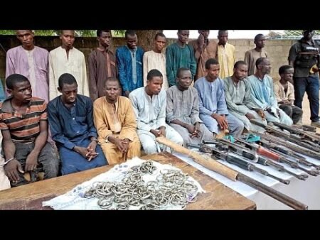 Nigeria says nearly 10,000 former Boko Haram fighters have been reintegrated