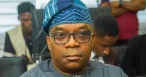Nigerians at Core of Foreign Policy, Minister Explains