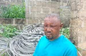 Police Recover Electric Cables, Nab Vandals in Delta