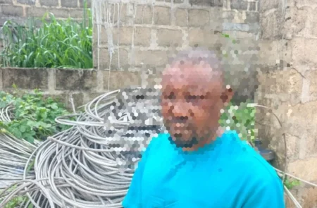 Police Recover Electric Cables, Nab Vandals in Delta