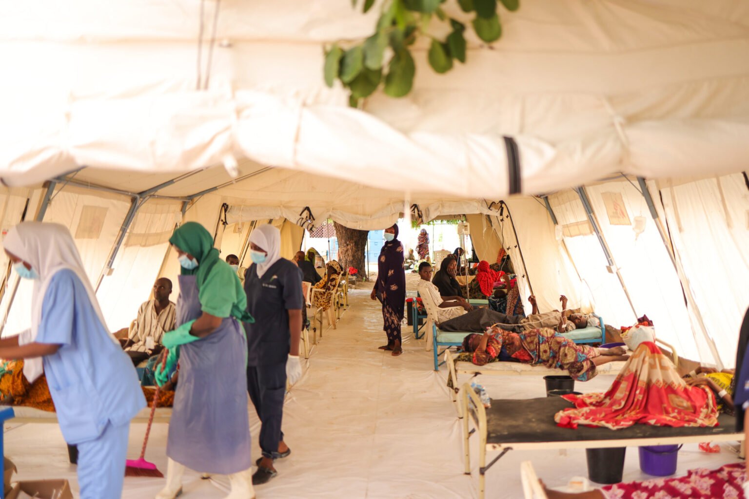 Cholera Outbreak: 74 dead, over 7,800 cases strain Borno facilities