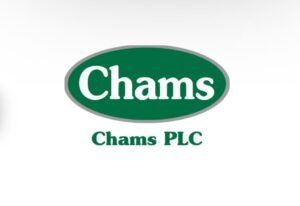 Chams HoldCo appoints new board of directors chair