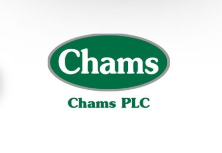 Chams HoldCo appoints new board of directors chair