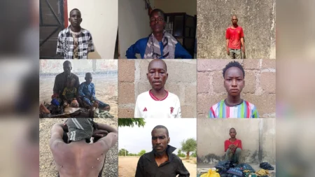 Troops arrest terror suspects, disrupt logistics networks in North-East