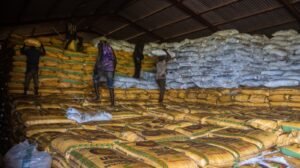 Early fertiliser procurement eased impact of Middle East tensions – PFI NPK Early fertiliser procurement eased impact of Middle East tensions – PFI NPK