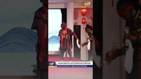 Inside the Martial Arts Event Strengthening China-Nigeria Ties| VIP NEWS Inside the Martial Arts Event Strengthening China-Nigeria Ties| VIP NEWS