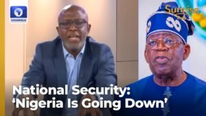 Insecurity: Nigeria Is Going Down Under Your Watch, You Need To Sit up, Akande Calls Out Tinubu Insecurity: Nigeria Is Going Down Under Your Watch, You Need To Sit up, Akande Calls Out Tinubu