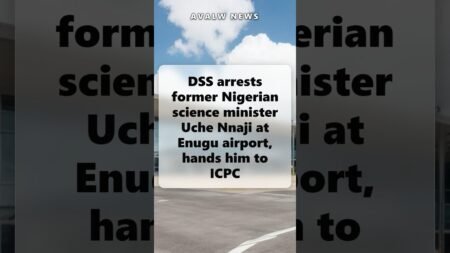 DSS arrests former Nigerian science minister Uche Nnaji at Enugu airport, hands him to ICPC