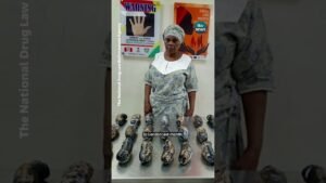 Mary Yetunde Barek, a 67-year-old British-Nigerian grandmother has been arrested at Lagos airport Mary Yetunde Barek, a 67-year-old British-Nigerian grandmother has been arrested at Lagos airport