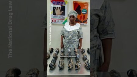 Mary Yetunde Barek, a 67-year-old British-Nigerian grandmother has been arrested at Lagos airport Mary Yetunde Barek, a 67-year-old British-Nigerian grandmother has been arrested at Lagos airport