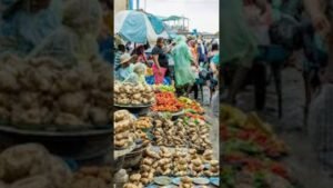 Nigeria’s Improved Macroeconomic Conditions Reported Nigeria’s Improved Macroeconomic Conditions Reported