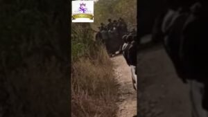 OGBÈNUTÁN MÓN AWON AJINIGBE LÓWO NI IPINLE KOGI #viral #nigerianews #trending #nigeria OGBÈNUTÁN MÓN AWON AJINIGBE LÓWO NI IPINLE KOGI #viral #nigerianews #trending #nigeria