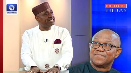 ‘Noise, Empty,’ Kenneth Okonkwo Downplays Defamation Suits | Politics Today ‘Noise, Empty,’ Kenneth Okonkwo Downplays Defamation Suits | Politics Today