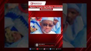 Morning brief by newstelly #newstelly #viral #Justin #news #nigeria
