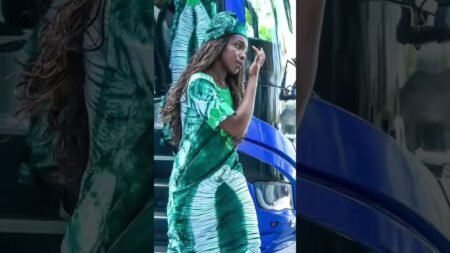 Nigerian one Nigeria #usa #duet #lifeisbutadream #news #africa #greenscreen