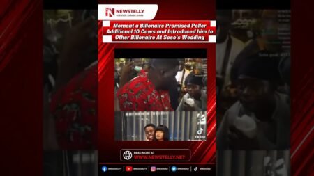 Moment a Billonaire Promised Peller Additional 10 Cows  #peller#newstelly #news #nigeria #trendung