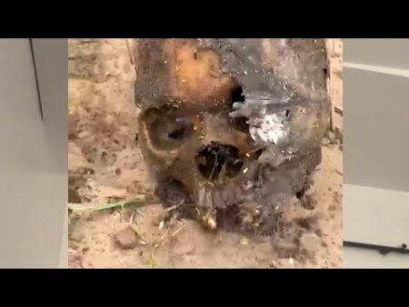 @julsatv nigeria news,human bones was found when the ratels was cleaning in anambra yesterday