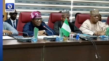 Xenophobia: Nigeria Urges South Africa To Take Concrete Action Against Attacks On Citizens