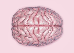 45% of dementia cases could be prevented – WHO 45% of dementia cases could be prevented – WHO