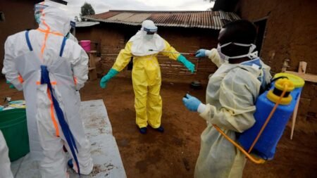 Delayed containment of Ebola could cost DRC and Uganda billions Delayed containment of Ebola could cost DRC and Uganda billions