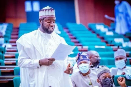 Reps Order IG to Produce ‘Fake’ Agency DG Adeyemi in 48 Hour