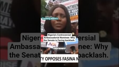 Nigeria’s Controversial Ambassadorial Nominee: Why the Senate is Facing backlash. Nigeria’s Controversial Ambassadorial Nominee: Why the Senate is Facing backlash.