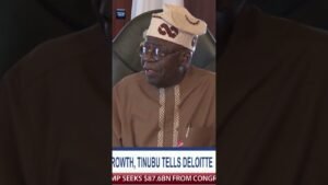 Tinubu says Nigeria’s economy has recorded steady growth after three years of reforms Tinubu says Nigeria’s economy has recorded steady growth after three years of reforms