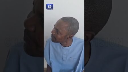 Police Arrest Adeniyi Adeyemi Over PFIPC Scandal