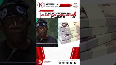 Welcome to newstelly morning brief #Newstelly#BreakingNews#NigeriaNews#Dangote#EFCC#viral Welcome to newstelly morning brief #Newstelly#BreakingNews#NigeriaNews#Dangote#EFCC#viral