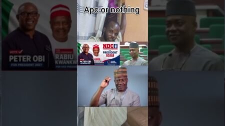 Do You Agree With What He Said About Peter Obi? Watch First! #nigeria #nigerianews #politics Do You Agree With What He Said About Peter Obi? Watch First! #nigeria #nigerianews #politics