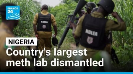 Nigeria dismantles its largest meth lab as Mexican cartel push into country • FRANCE 24 English Nigeria dismantles its largest meth lab as Mexican cartel push into country • FRANCE 24 English