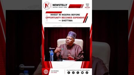 Welcome to newstelly morning brief #Newstelly#BreakingNews#NigeriaNews#Tinubu#TrendingNow Welcome to newstelly morning brief #Newstelly#BreakingNews#NigeriaNews#Tinubu#TrendingNow
