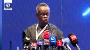 Lumumba Decries Inadequate Power Supply In Nigeria Lumumba Decries Inadequate Power Supply In Nigeria