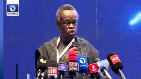 Lumumba Decries Inadequate Power Supply In Nigeria Lumumba Decries Inadequate Power Supply In Nigeria
