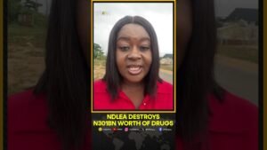 NDLEA Destroys N301bn Worth of Cocaine, Heroin & Opioids in Lagos | Shorts NDLEA Destroys N301bn Worth of Cocaine, Heroin & Opioids in Lagos | Shorts