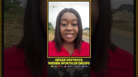 NDLEA Destroys N301bn Worth of Cocaine, Heroin & Opioids in Lagos | Shorts NDLEA Destroys N301bn Worth of Cocaine, Heroin & Opioids in Lagos | Shorts