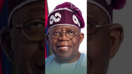 BREAKING: Tinubu Administration Reveals Breakdown of Savings from Fuel Subsidy Removal BREAKING: Tinubu Administration Reveals Breakdown of Savings from Fuel Subsidy Removal